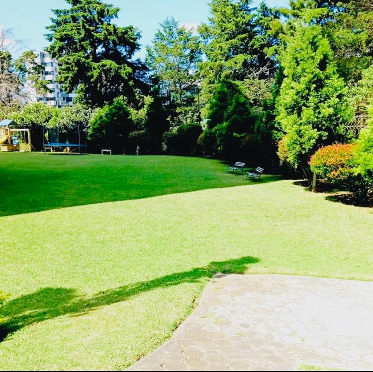 Apartamento en renta nivel alto zona 15, Convista. - foto 13